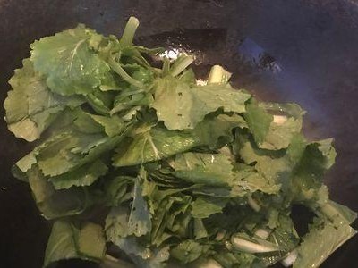 小白菜系统教程（从零开始，掌握小白菜系统的基本操作和高级应用）