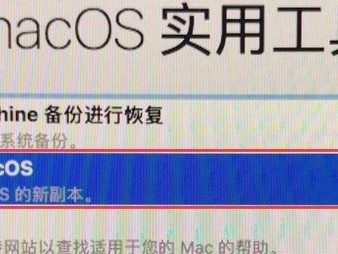 苹果系统重做系统教程（详细步骤教你如何重新安装苹果系统，摆脱设备问题）