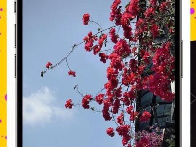 iPhone相机（领先一步，记录美好瞬间）
