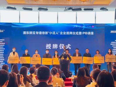 以灿芯半导体（关键技术与创新驱动，引领半导体行业发展）