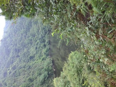 米4拍照效果如何？（探索小米旗舰手机的摄影魅力）