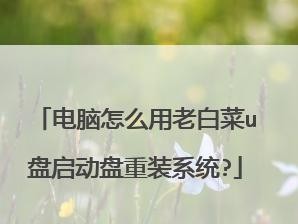 大白菜U盘系统安装教程（用大白菜制作U盘系统安装，轻松完成系统部署）