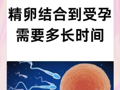受精卵基因的发展与表达（探索受精卵基因调控的奥秘）