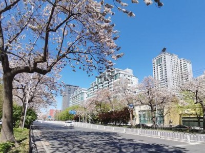 探索nova2的强大拍照功能（记录美好时刻，轻松成为摄影师）