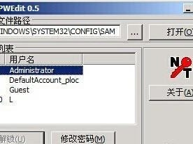 使用PE查看密码教程（通过PE工具查看和破解密码的方法和技巧）