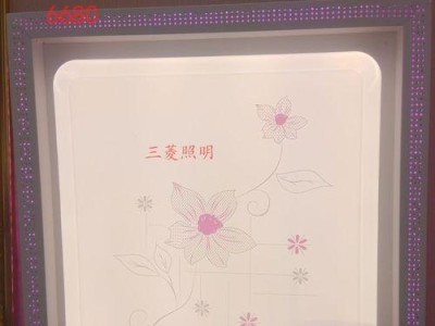 三菱照明（探索可持续发展之路）