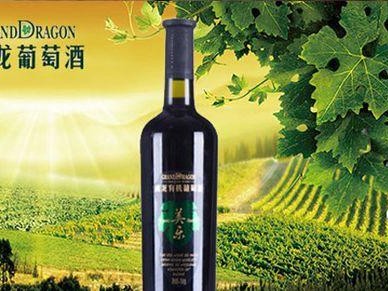 以标准威龙怎么样？（综合评估标准威龙的性能和效果）