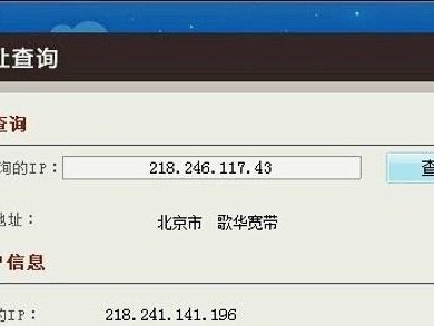 通过网址查询IP地址的方法（了解如何通过网址快速查询IP地址，为网络安全提供保障）