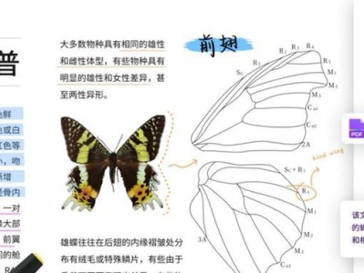 AI导出压缩方法（以3分钟掌握AI导出压缩技术的关键知识）