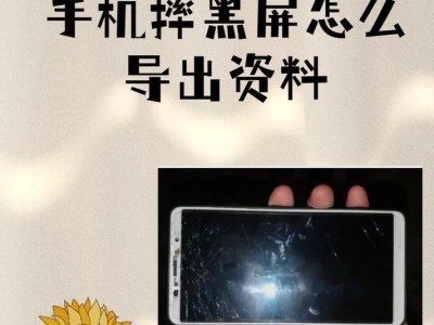 手机摔坏了屏幕黑屏修复方法大揭秘（手机屏幕黑屏修复技巧，让你的手机重新焕发光彩）