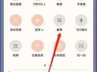 如何灵活运用截取长屏功能（掌握长屏截取，轻松捕捉全景画面）