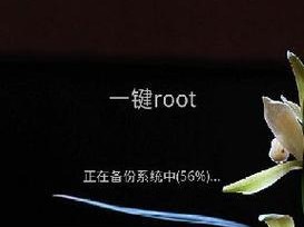 探究安卓Root大师的功能与优势（一键Root，畅享安卓无限可能）