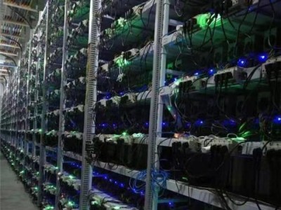 以n卡381.65为主题的全面分析（性能、特点与应用领域的深度解析）