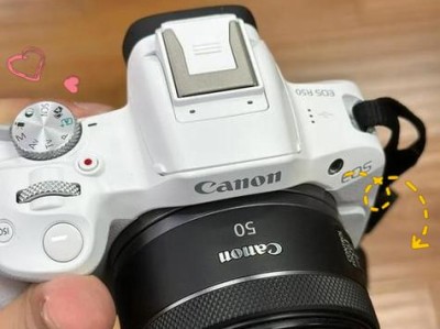 以单反人像档怎么样？（探索单反摄影的人像表现能力与技巧）
