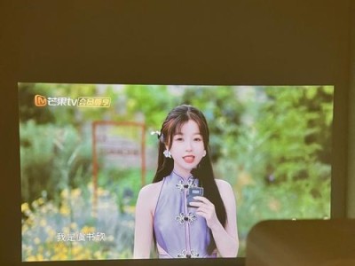 家用投影仪的效果究竟如何？（探究家用投影仪的画质、亮度、色彩还原等关键指标）